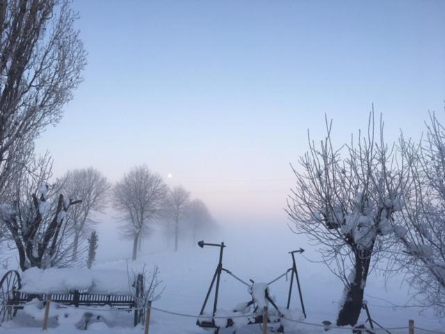 Agriturismo Il Capitolo Carpaneto Piacentino Экстерьер фото